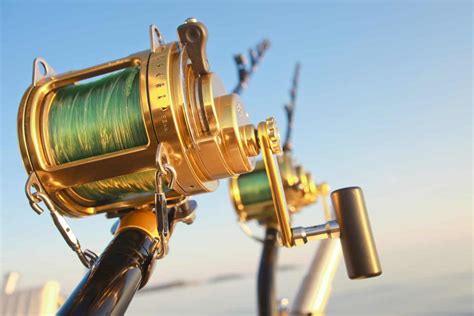 The Best Fishing Reels for Saltwater of 2025 .